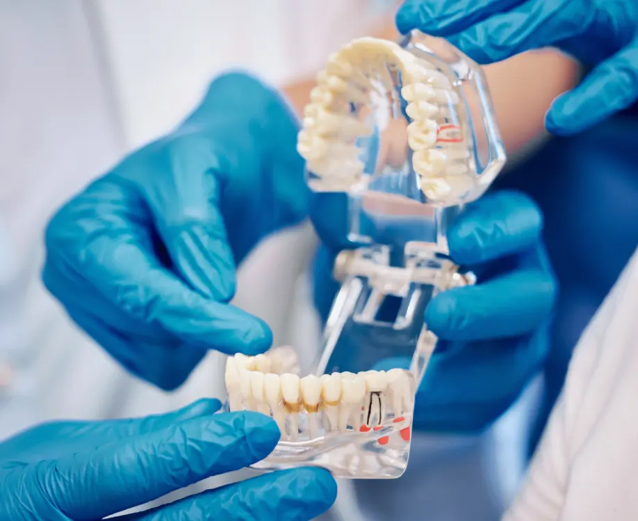 Denture-Design-Denture-Technicians-Southern-Idaho Denture-Design-Denture-Technicians-Southern-Idaho