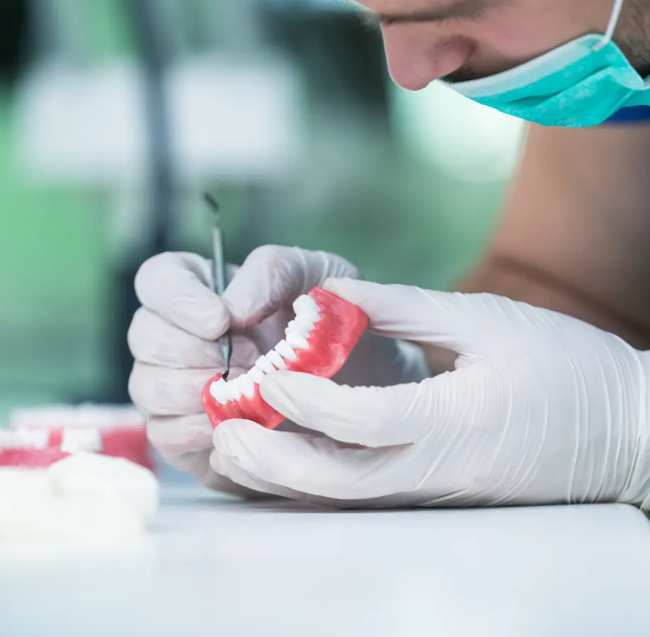 Denture-Design-Replacement-Denture-Sets-Process Denture-Design-Replacement-Denture-Sets-Process