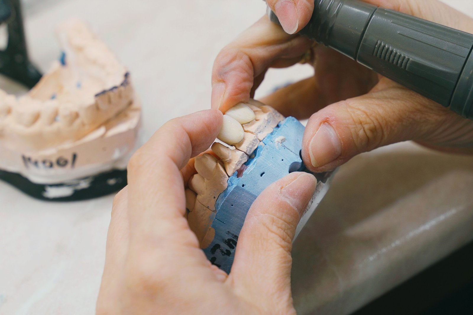 Working on Dentures Model